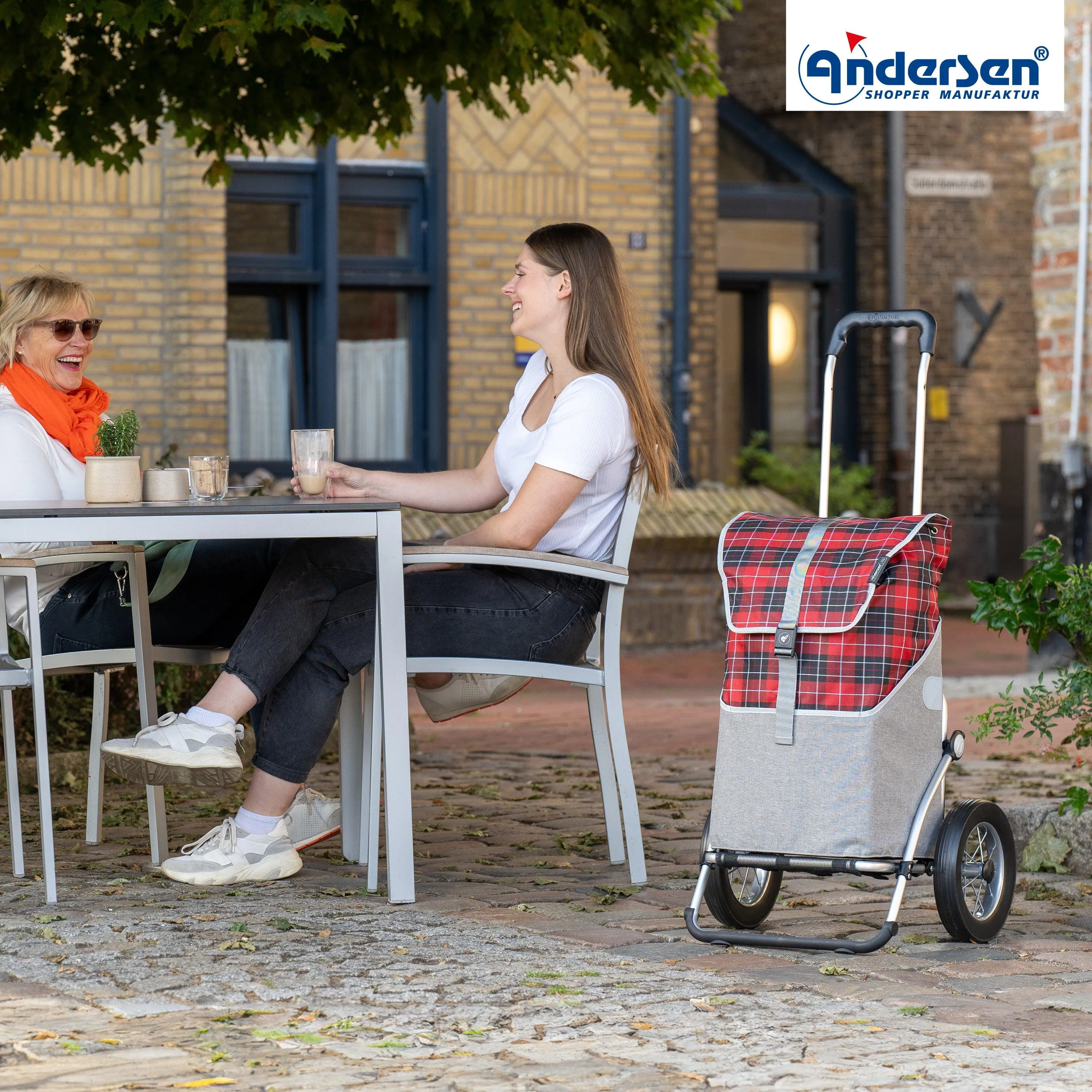 Andersen-Shopper | Bike Trailer | Shopping Trolley | Royal Frame | Gese Bag