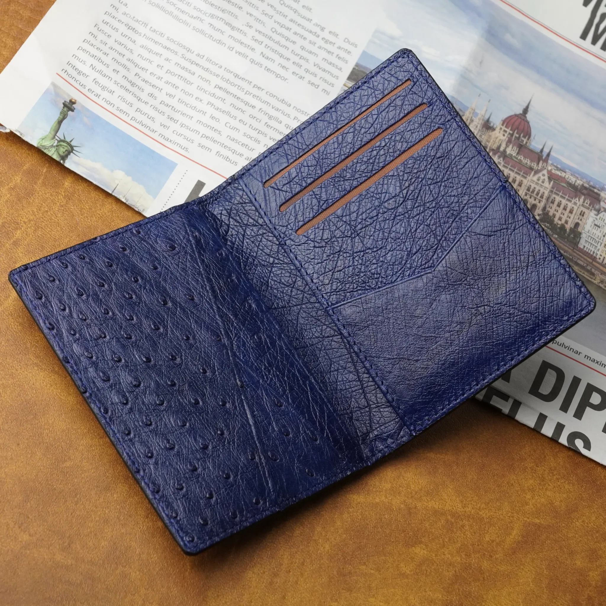 Black Blue Double Side Ostrich Leather Credit Card Holder | RFID Blocking | CARDOS-14