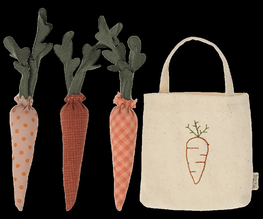 Carrots in shopping bag