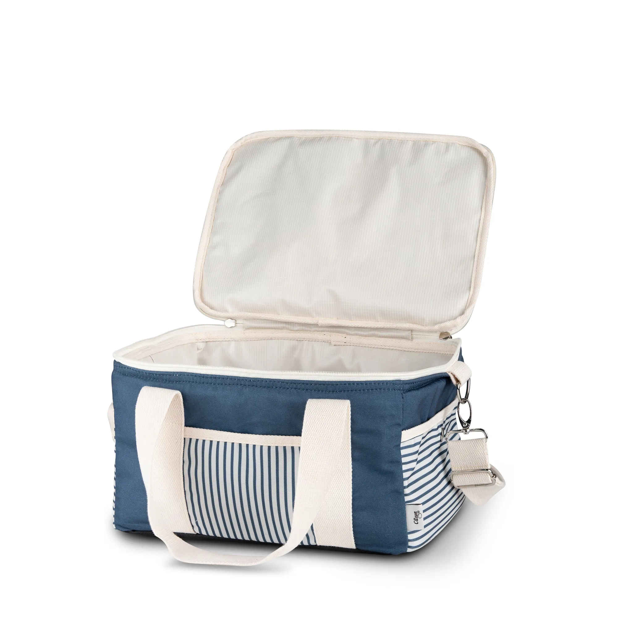 Citron Thermal Picnic Bag | Blue