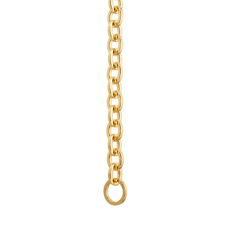 Gold-tone Bag Chain