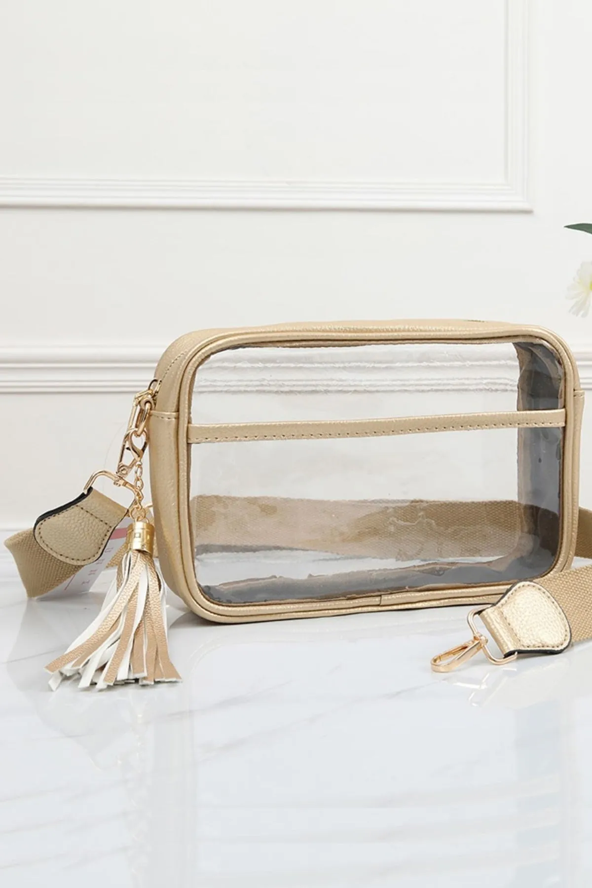 Large Rectangle Clear Crossbody Bag